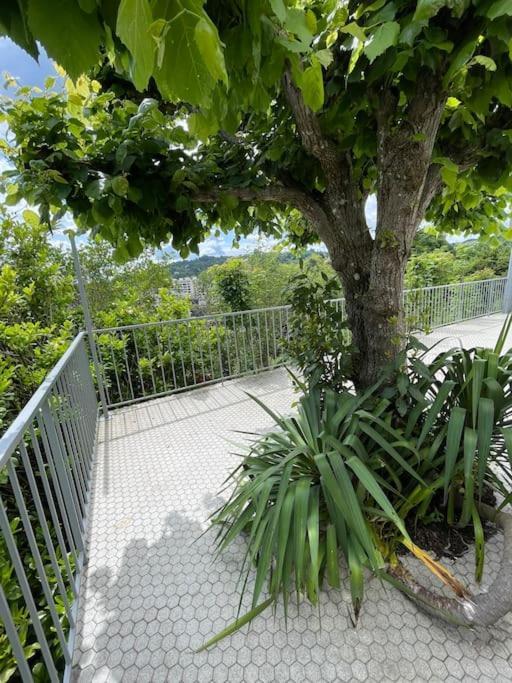 Paisible Eden Standing Terrasse - Magnifique Vue - Esprit Nature En Pleine Ville 튈 외부 사진